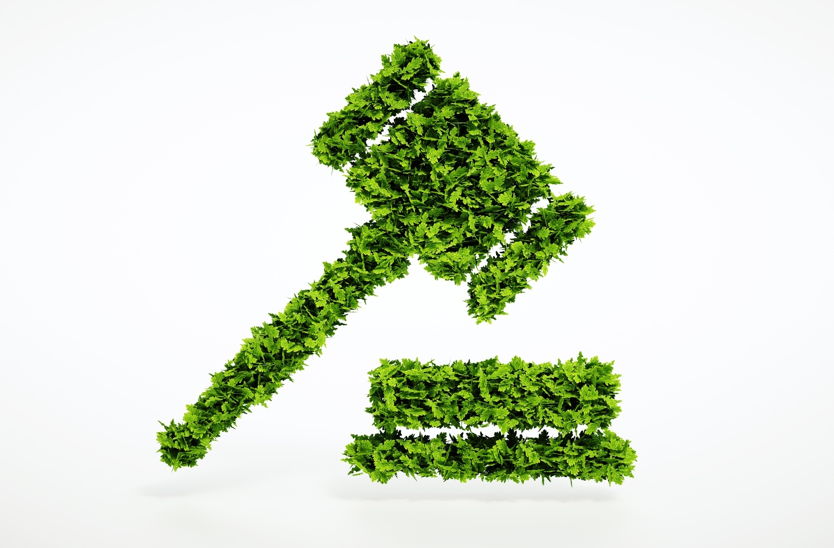 Environmental Law: Human Rights Perspective