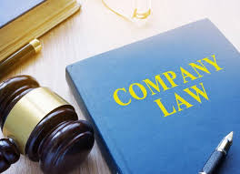 Significance of Meetings in the Effective Governance of the Companies under the Companies Act, 2013